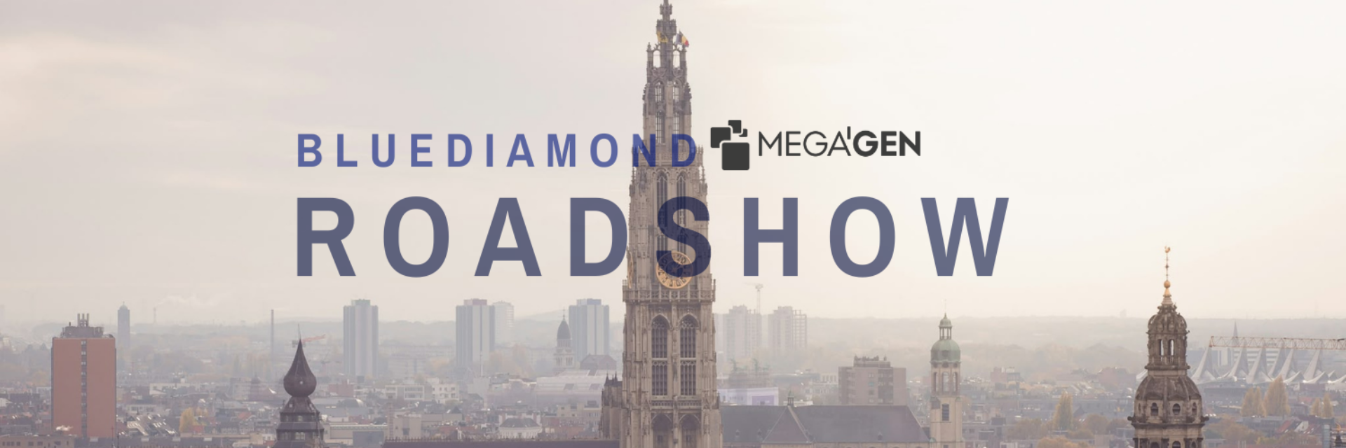 Roadshow Blue Diamond Antwerp