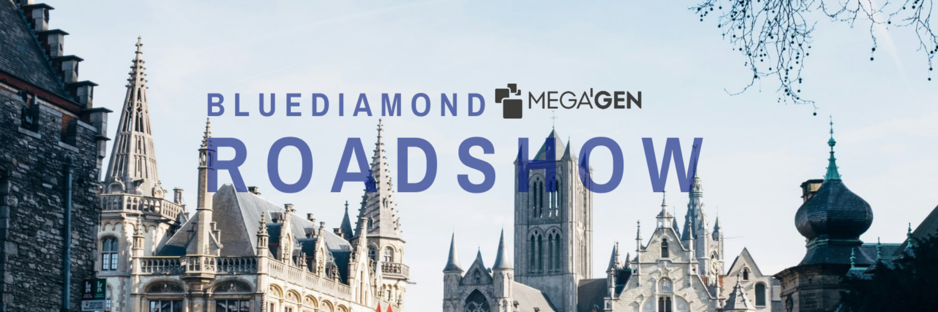 Roadshow Blue Diamond Gent